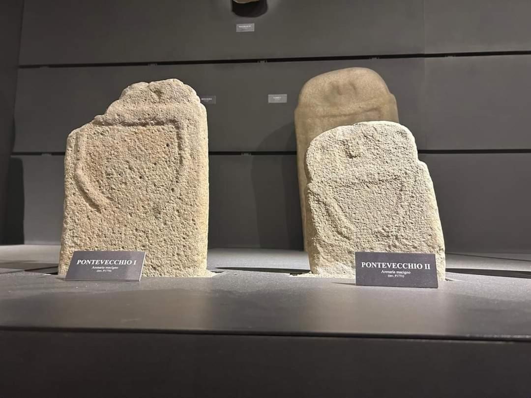 דירות לה ספציה La Finestra Sul Parco מראה חיצוני תמונה